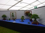 AFS 2016 13.JPG